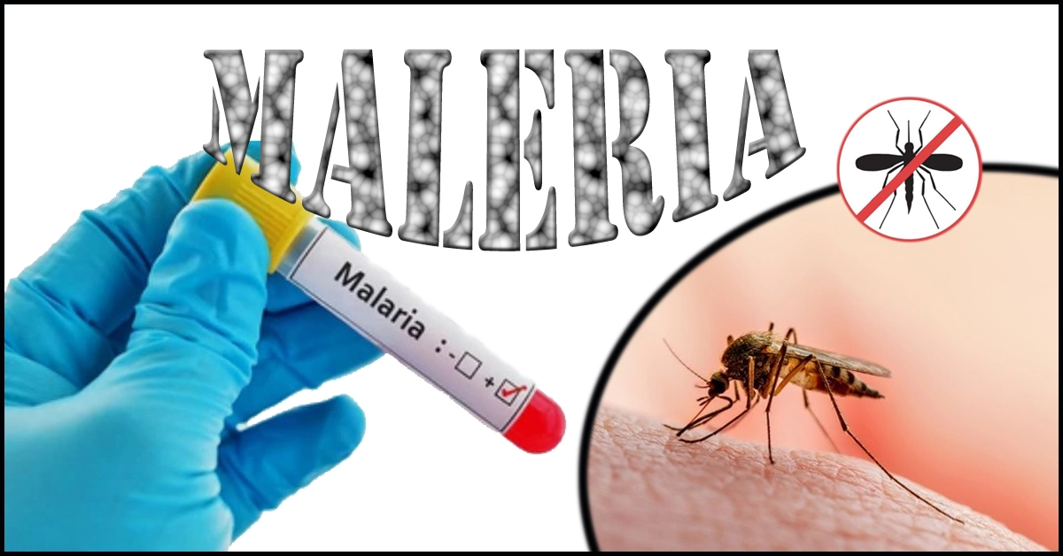 Malaria : Symptoms & Prevention