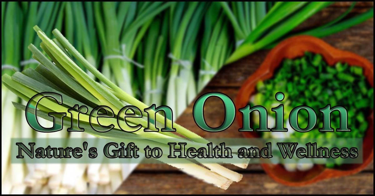 Green Onion: Nature's Gift to Health and Wellness