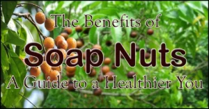 A Soap Nuts: A Guide to a Healthier You